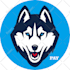 custom vector cartoon and illustration