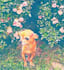 paint your pet in watercolors