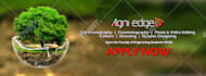 create flyer within 12 hr