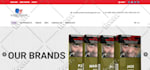 design any kind of modern responsive website