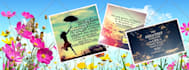 design social media cover and header