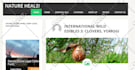 fix wordpress issue, bug, error and customize wp theme