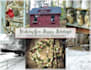 create a christmas or holiday card