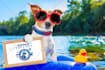 promote website or business with my pet model