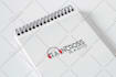 do superb logo within 24hr