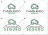 create a professional logo in 48 hours