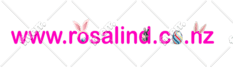 build react js website with tailwind css