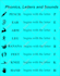 make an outstanding infographics