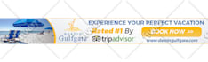 design google banner ads or adwords