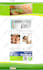 fix your website issue in 24 hours