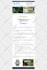 design professional email template