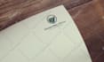 do an amazing business logo design