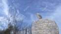 create a high end 3d animation or commercial of your product