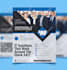 do custom flyer design for your business