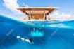 write 300 words of rich and dynamic SEO website content