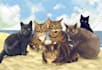 draw a cat portrait of you, the perfect gift