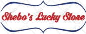 setup shopify dropshipping store and its logo
