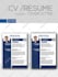 design flyer, poster, resume or any graphics