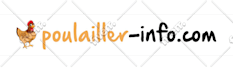 create website logo for you