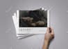 design business brochure or product catalog