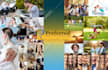 design professional web header