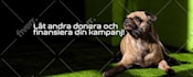 design facebook cover, social media banner, or post