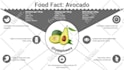 design professional infographics for your brand