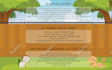 make an infographic for your business