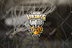 make your sports mascot and sports logo