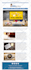 design an awesome mailchimp newsletter template