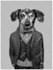 draw your pet in jacket