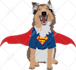 draw your pet with my style