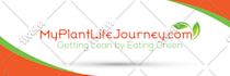 design a professional looking twitter header cover