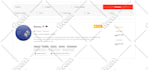 create a professional website for your company