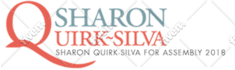 design and customize nationbuilder website professionally