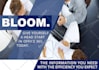 design professional brouchure for you