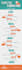 design a premium quality infographic