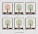 create a personalized wall family tree art poster