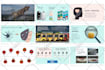 design a professional business presentation