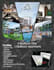 design unique poster flyer and brochure for your brand