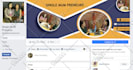 be elementor pro expert, redesign, clone and fix wordpress bugs