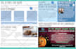 design creative flyer and brochure for you