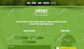 create a professional wordpress website