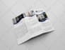 design professional flyer with urgent delivery
