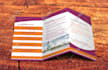 design professional tri fold brochure trifold