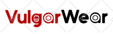 setup shopify dropshipping store and its logo