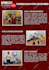 professionally edit photos for amazon etsy shopify