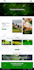 build wordpress website design and development