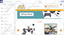 setup profitable shopify website or shopify store design