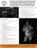 design fact sheet or factsheet for brand